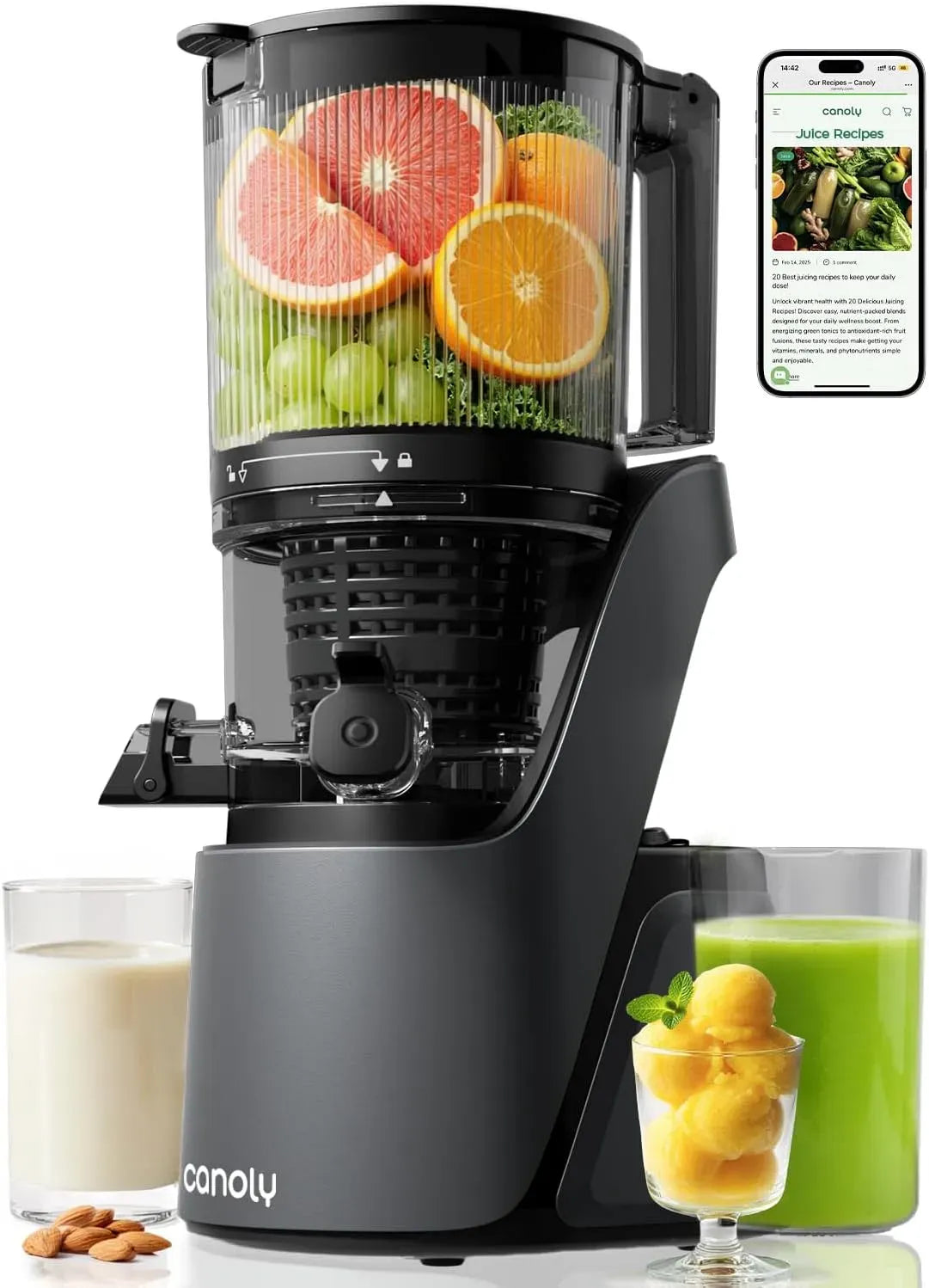 Extracteur de jus 3-en-1, gris, Moteur AC Traite les Fruits/Légumes Entiers, 150 mm, Sans BPA